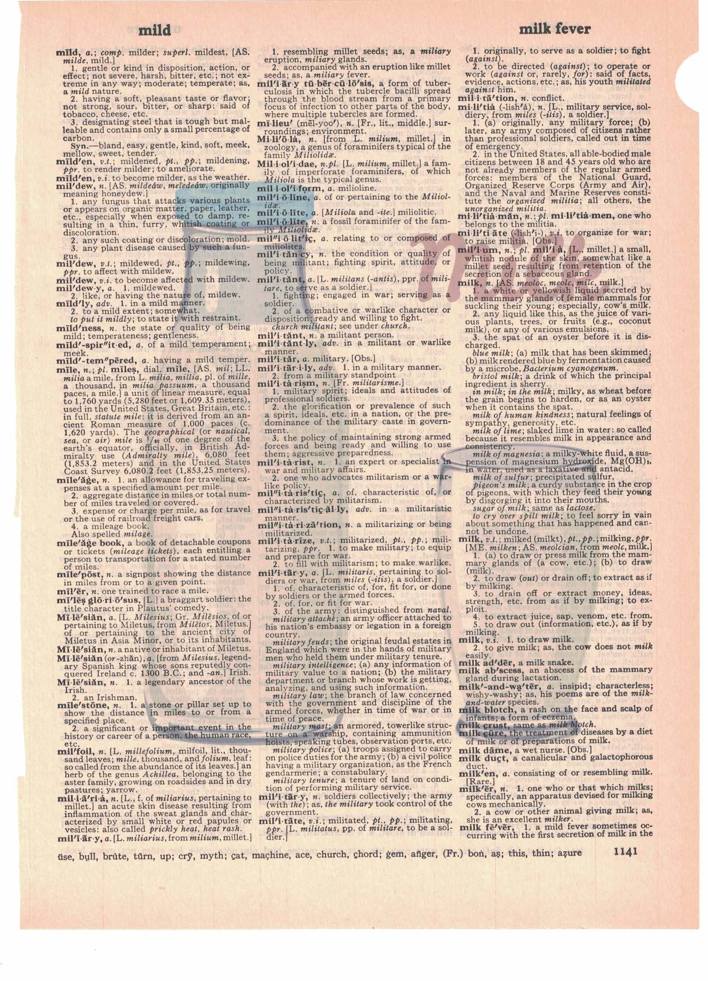 Milk Jar Dictionary Art Print