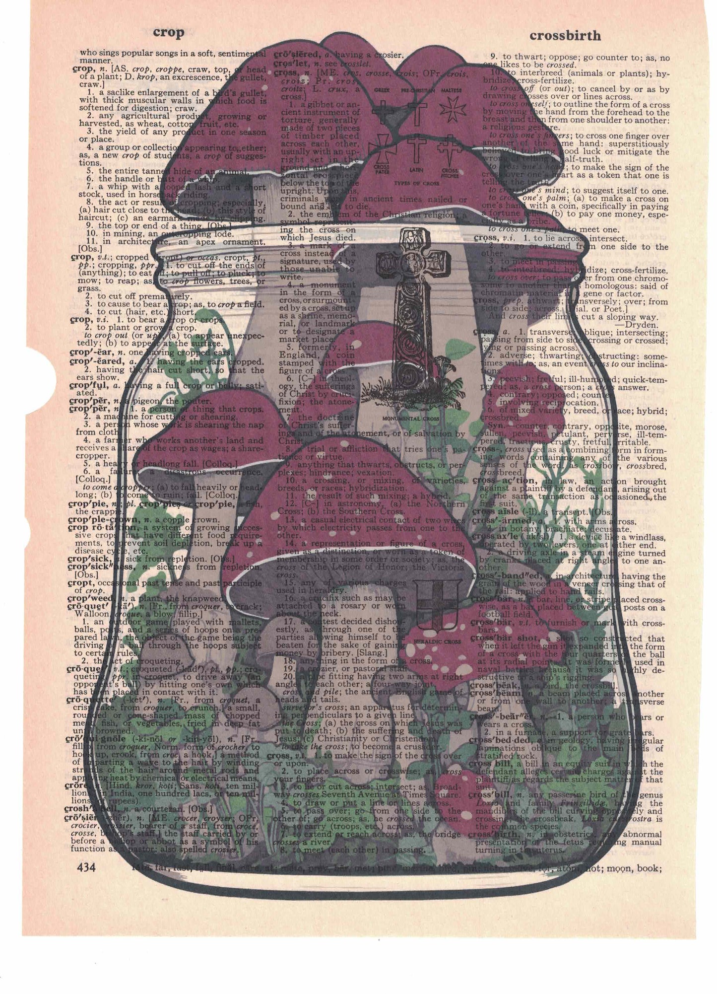 Mushrooms in a Jar Dictionary Art Print