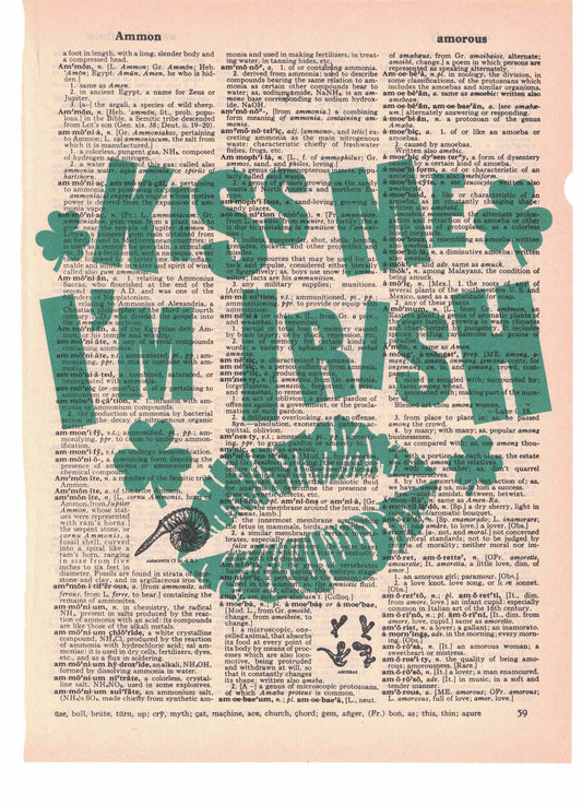 Kiss Me I'm Irish Dictionary Art Print