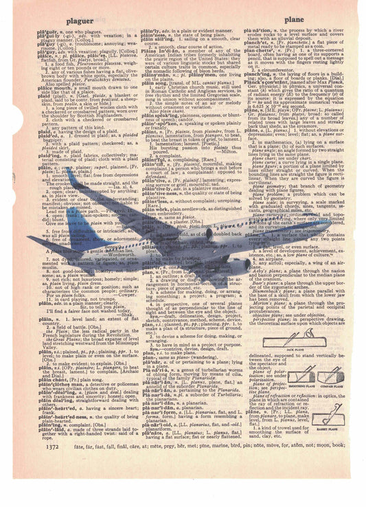 Airplane Dictionary Art Print