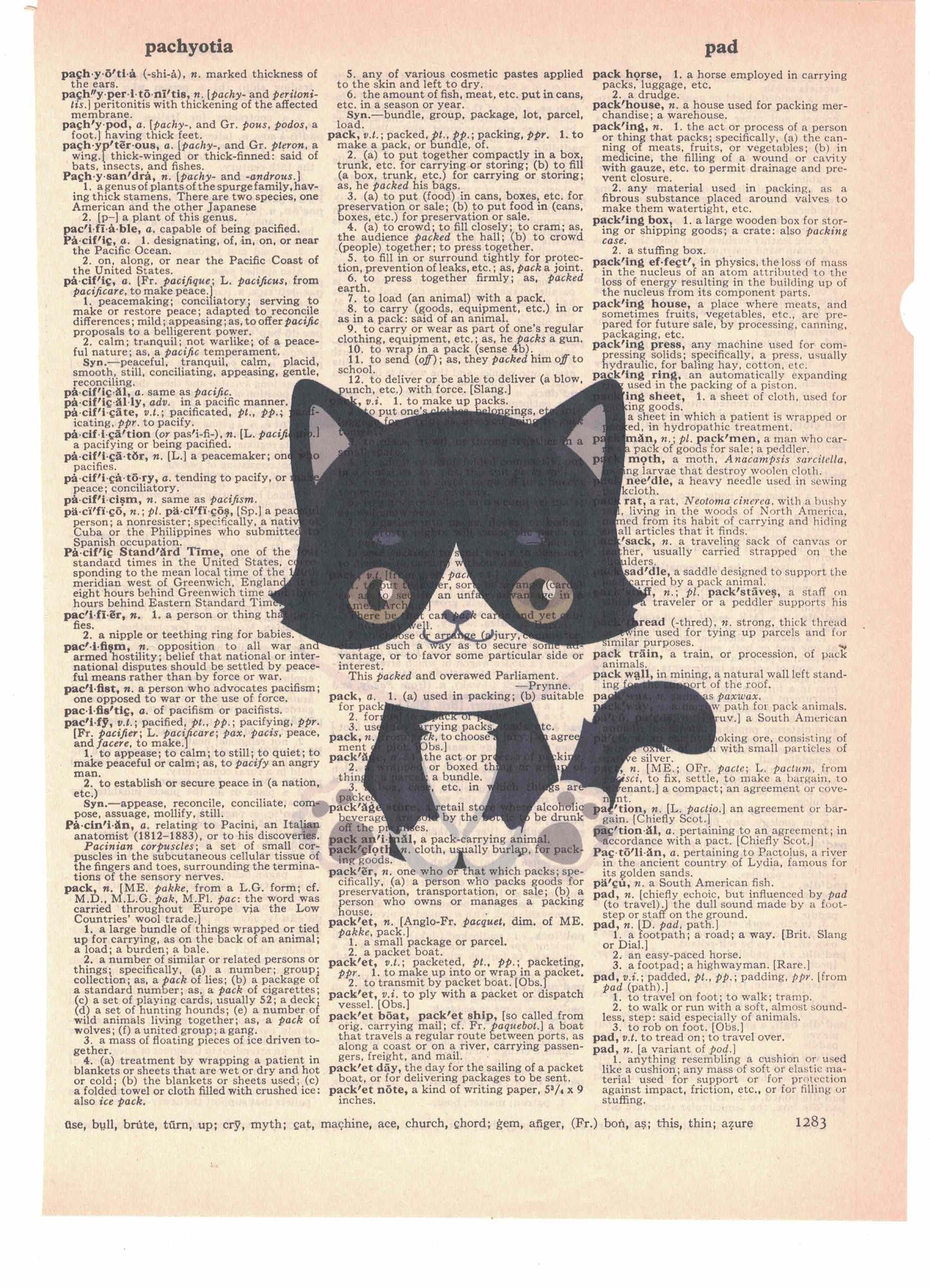 Black and White Cat Dictionary Art Print