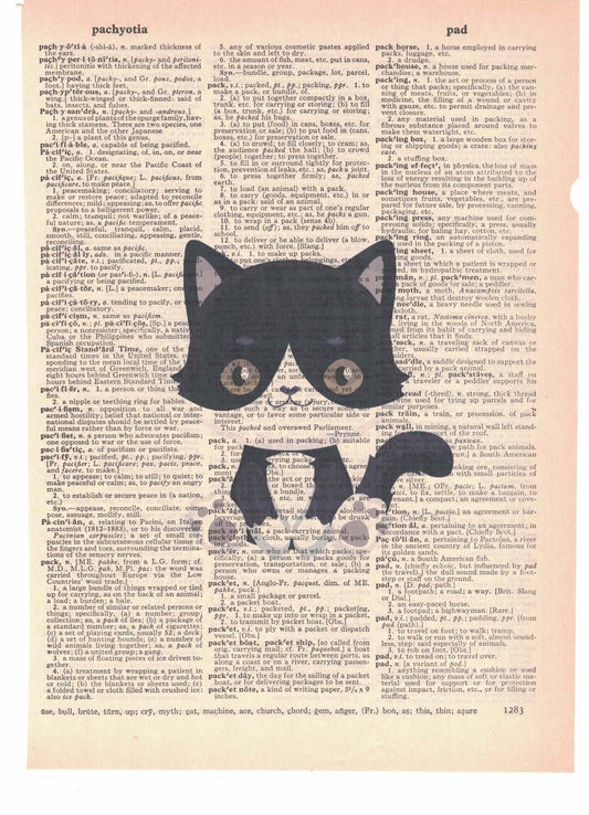 Black and White Cat Dictionary Art Print