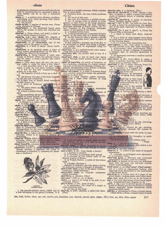 Chess Dictionary Art Print