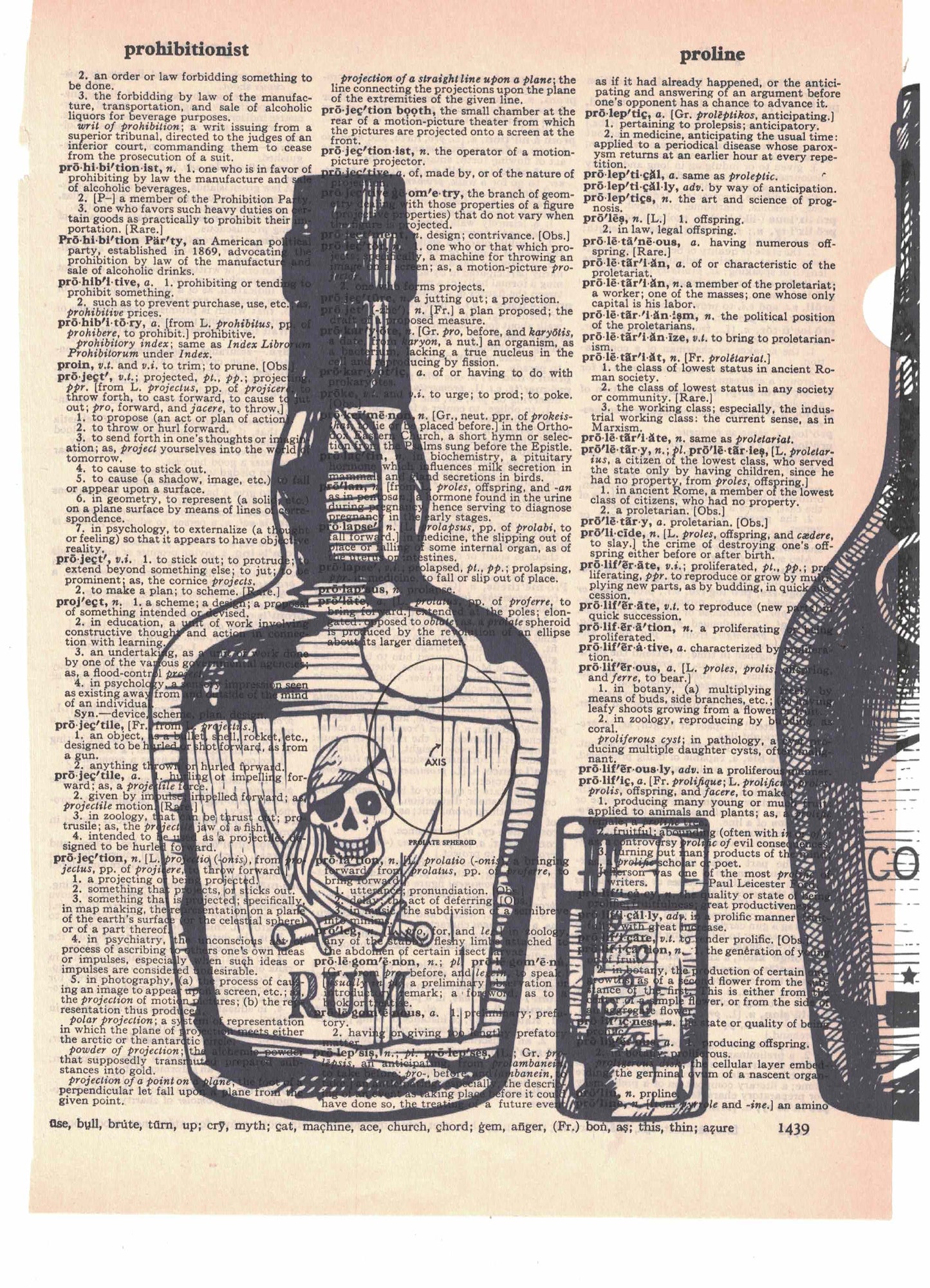 Alcohol Bottles 3 Piece Linked Dictionary Art