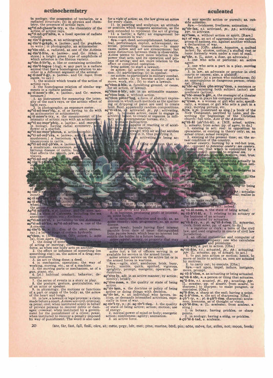 Succulent Plants Dictionary Art Print