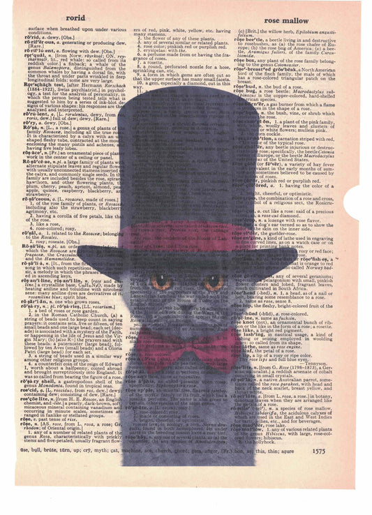Cat with Top Hat Dictionary Art Print