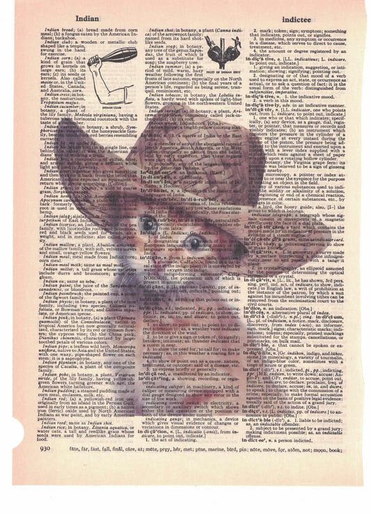 Cat with Cowboy Hat Dictionary Art Print
