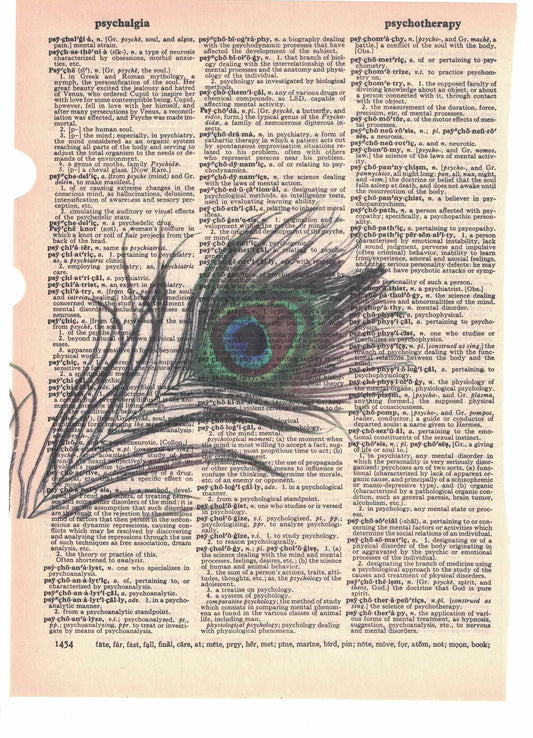 Peacock Feather Dictionary Art Print