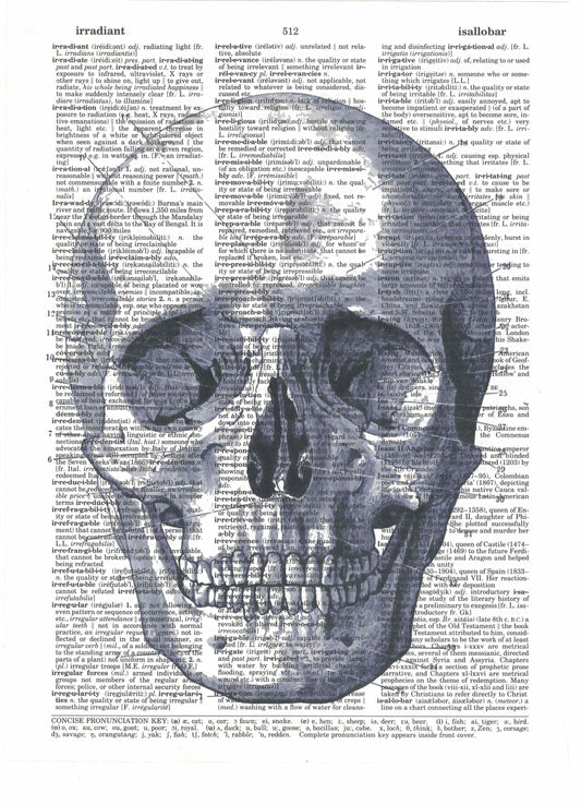Anatomical Skull Dictionary Art Print