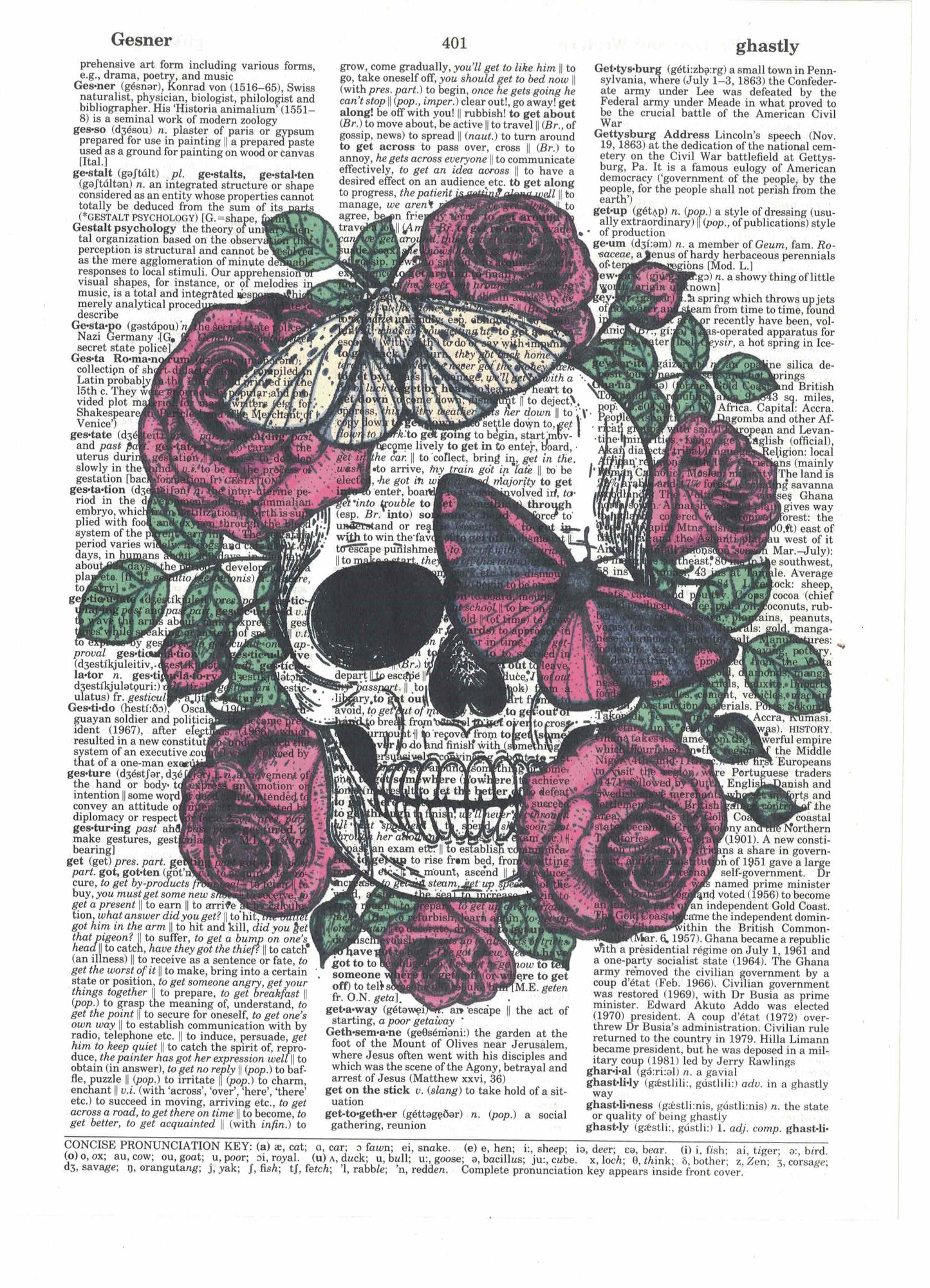 Rose & Butterfly Skull Dictionary Art Print
