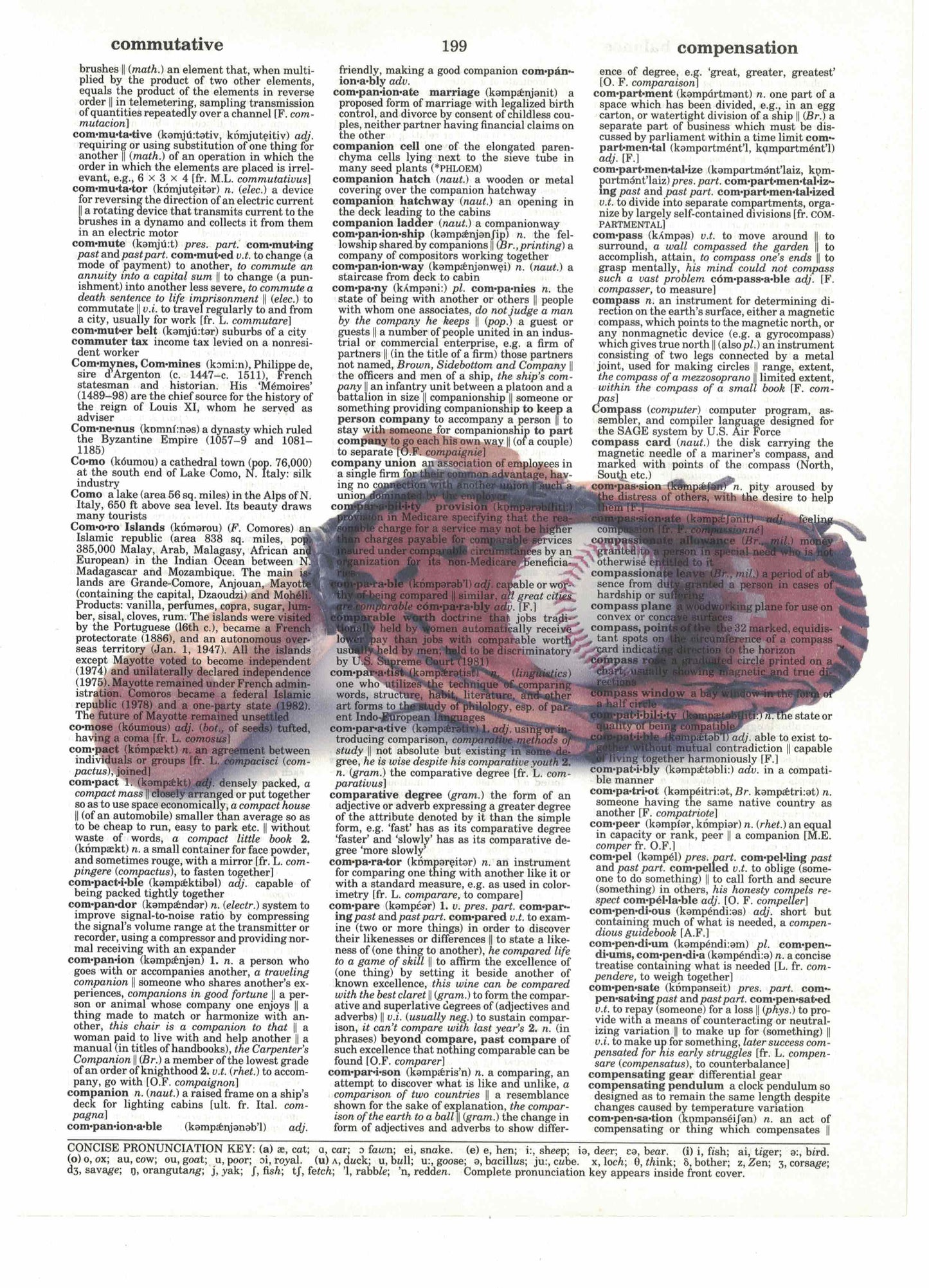 Baseball Dictionary Art Print