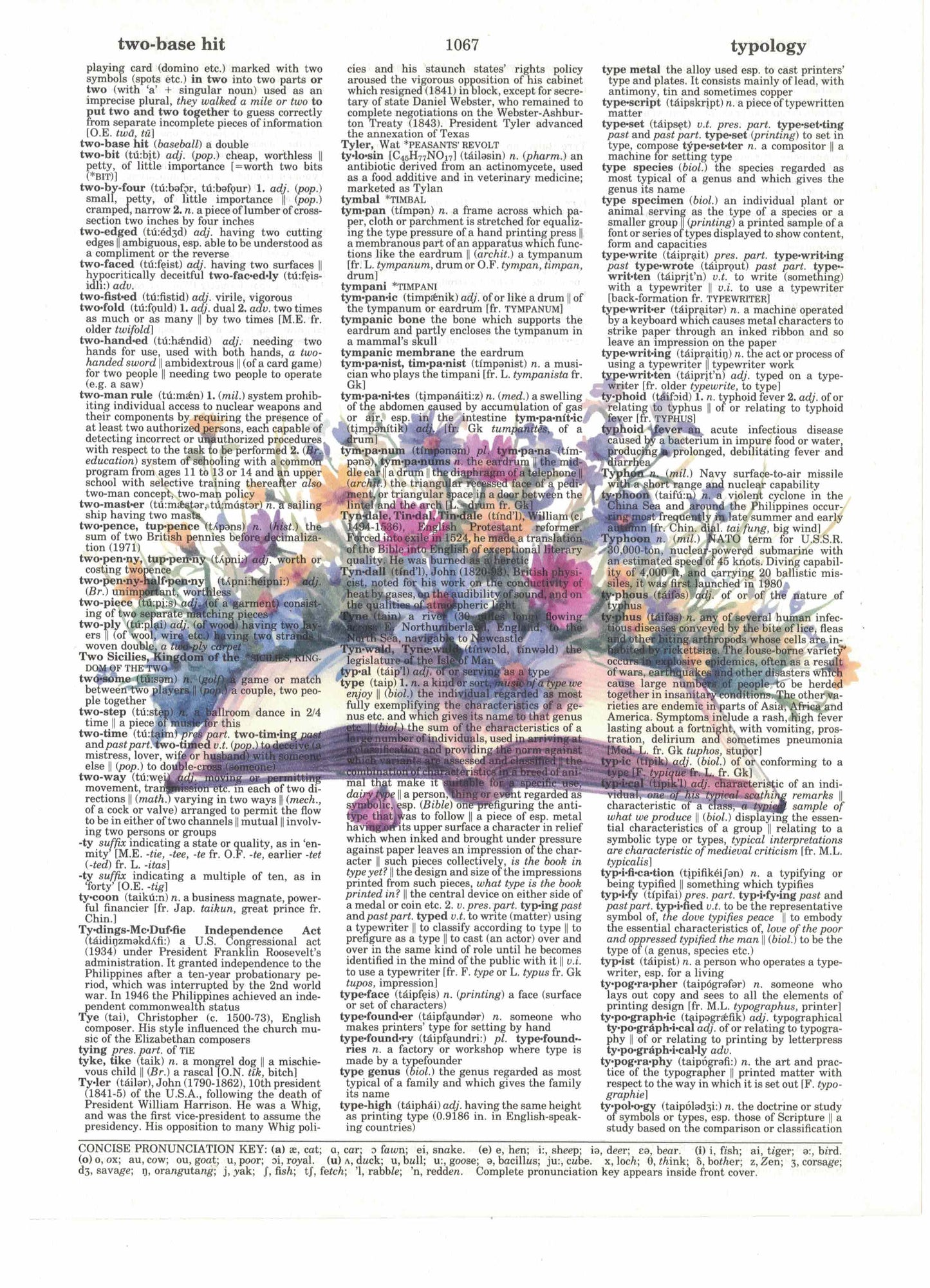 Flowers Book Dictionary Art Print