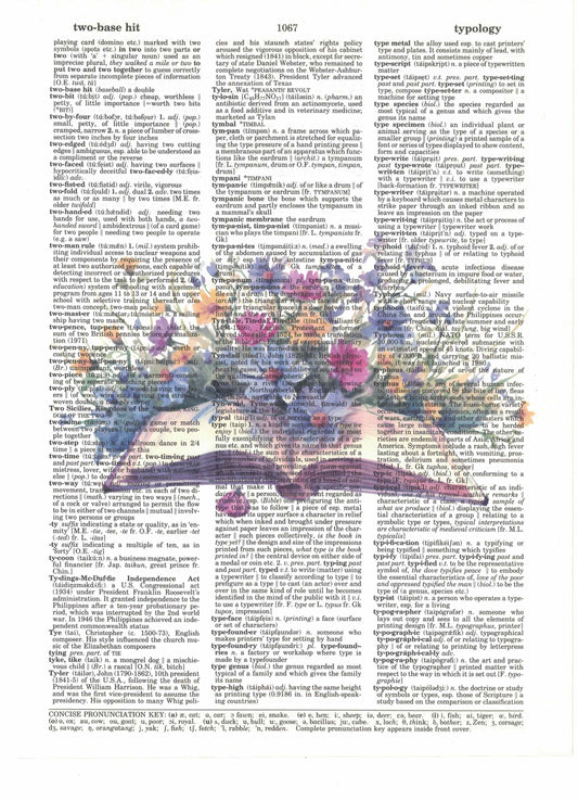 Flowers Book Dictionary Art Print