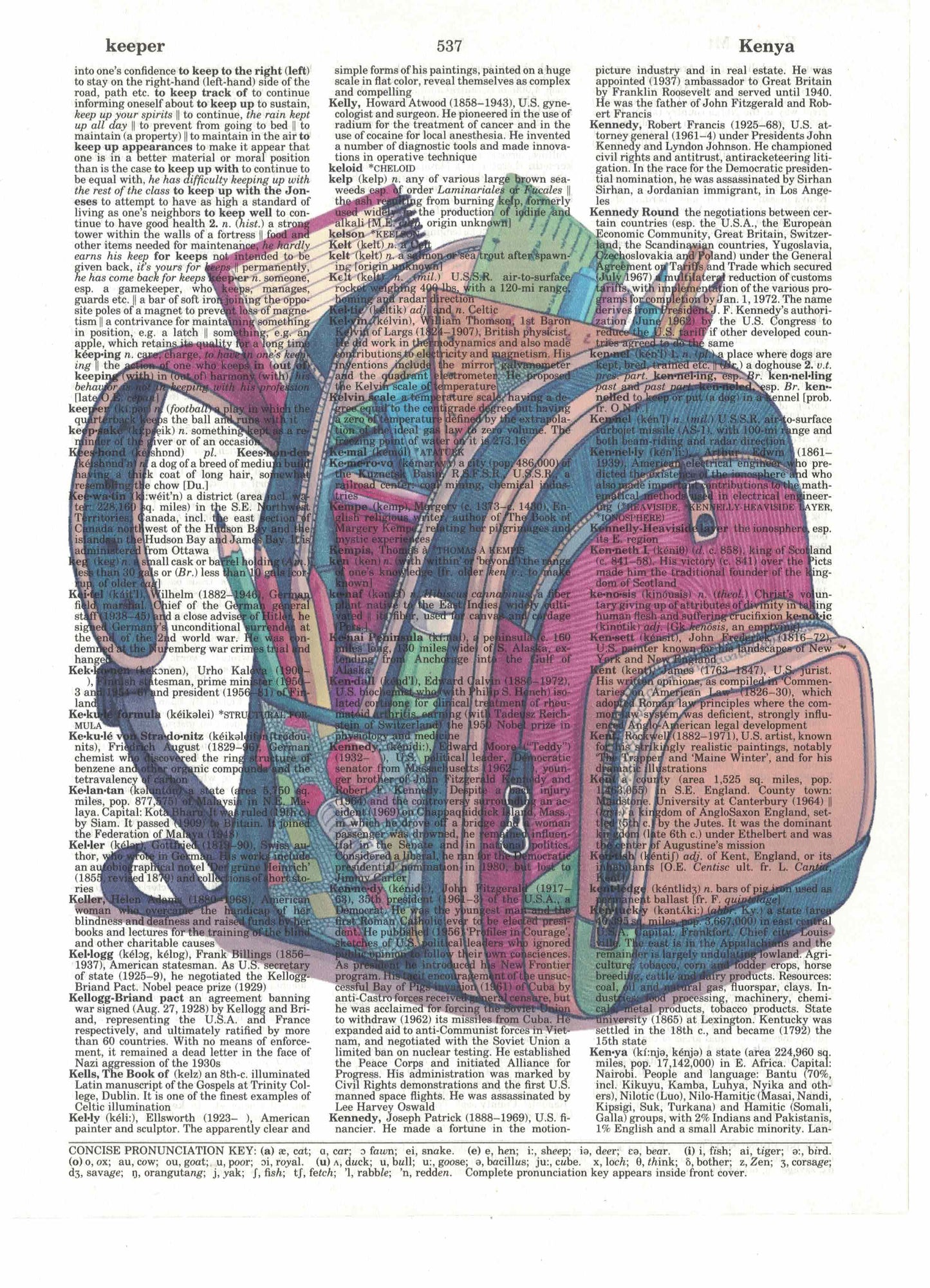Backpack Dictionary Art Print