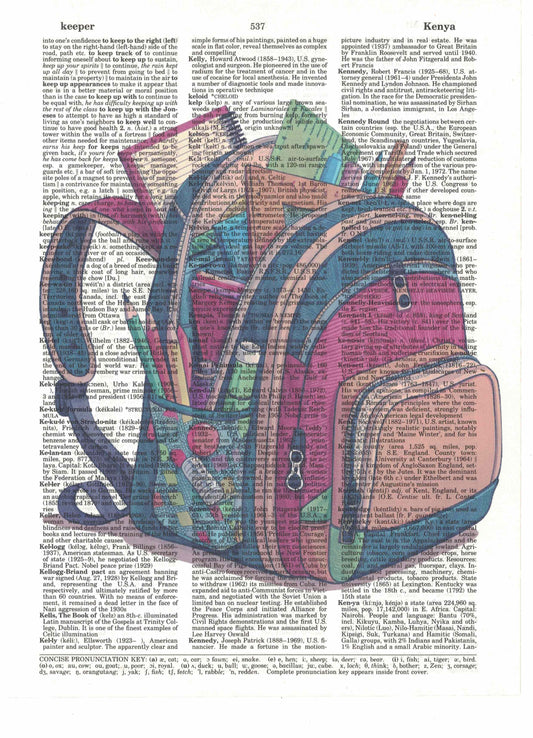 Backpack Dictionary Art Print