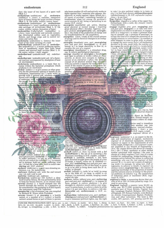 Flowers Camera Dictionary Art Print