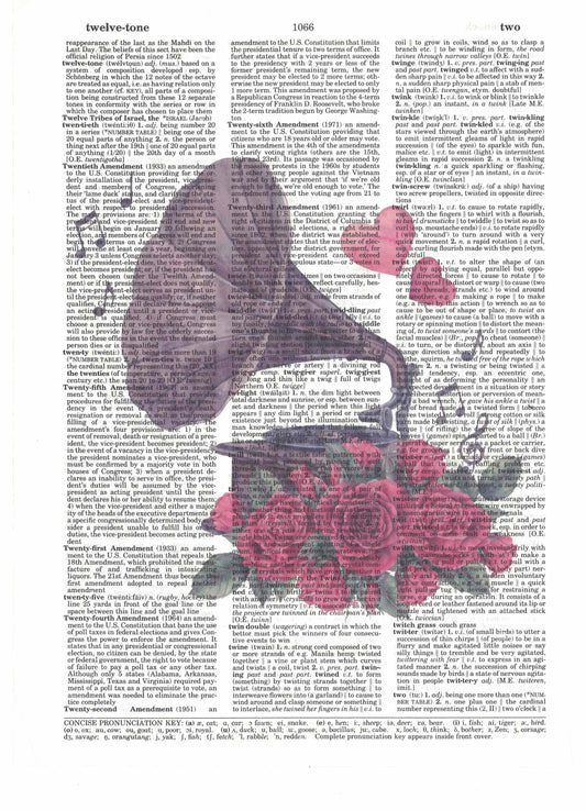 Turntable Viola Gramma Phone with Roses Dictionary Art Print