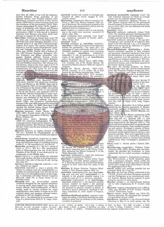 Honey Dictionary Art Print