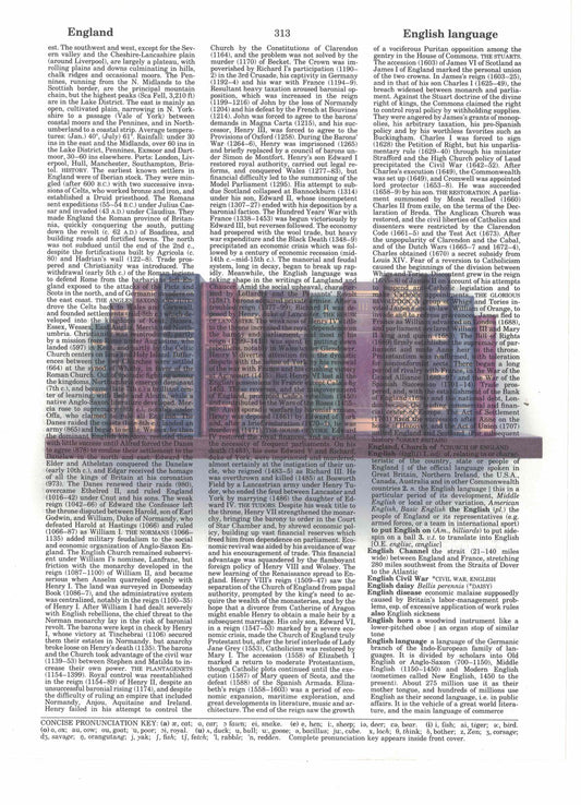 Book Shelf Books Dictionary Art Print