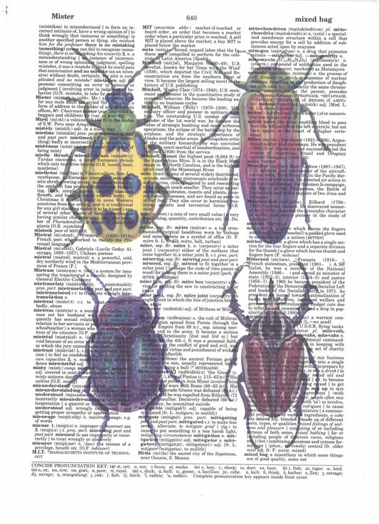 Four Beetles Dictionary Art Print