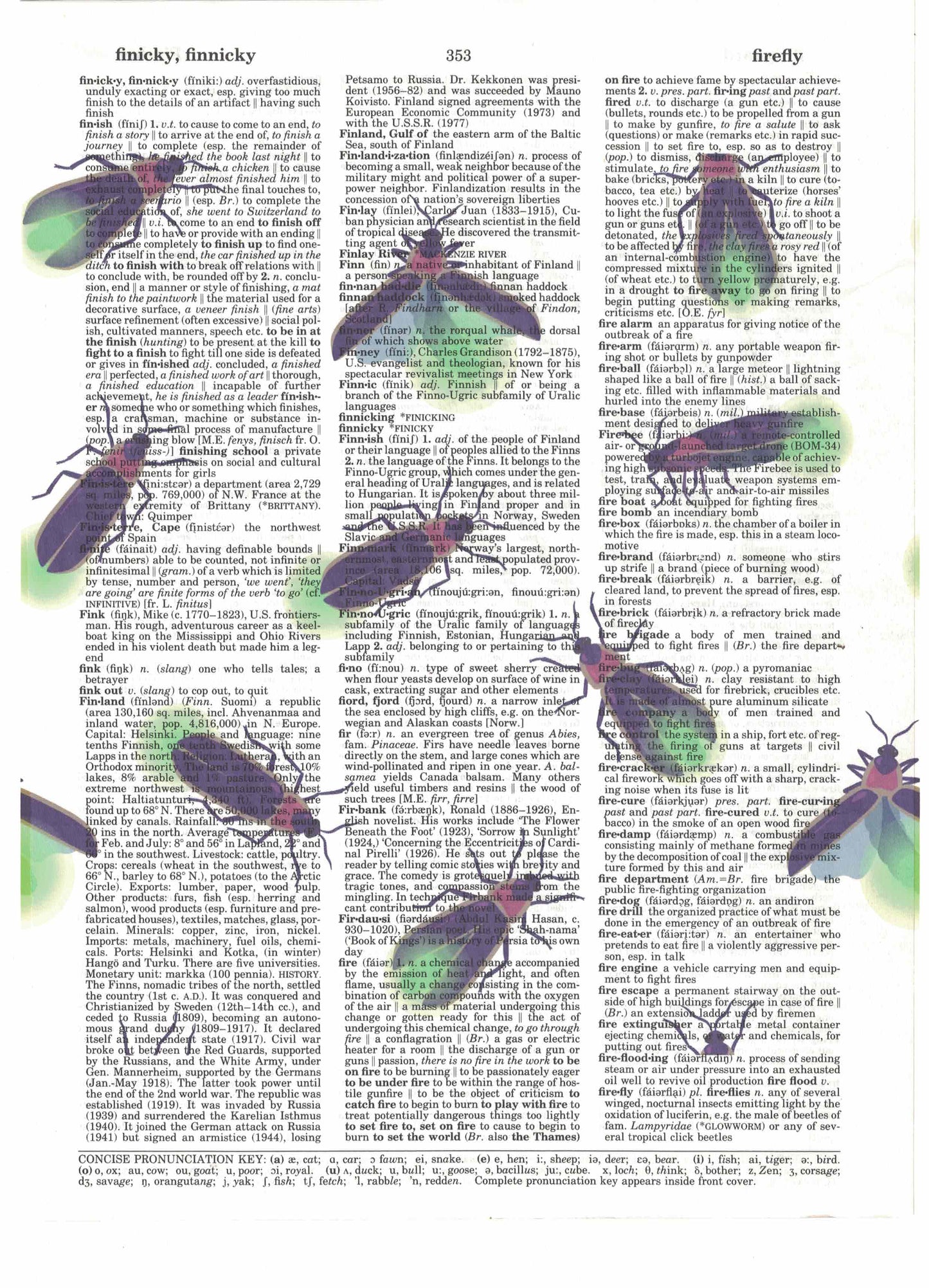 Firefly Dictionary Art Print