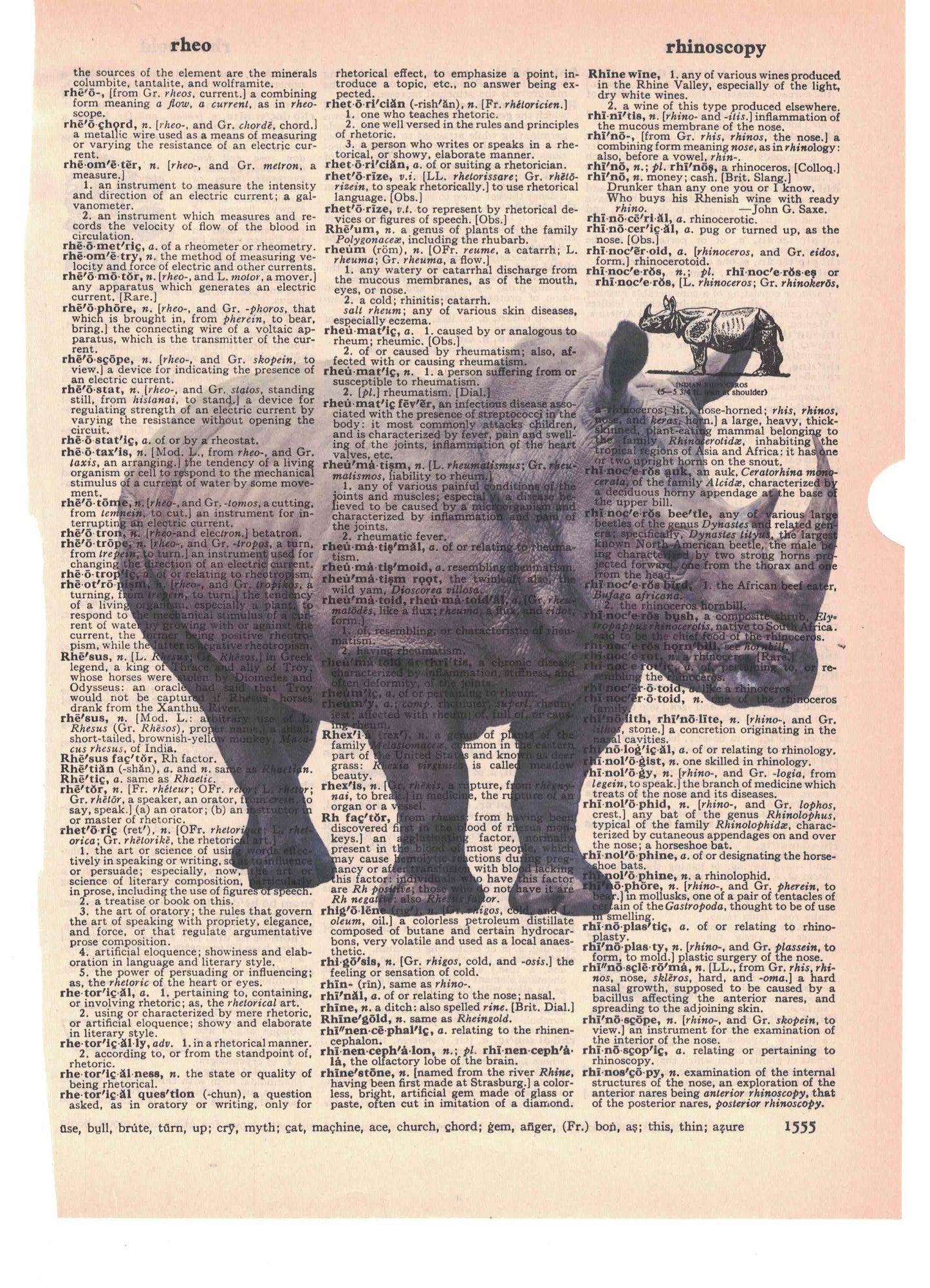 Rhino Dictionary Art Print