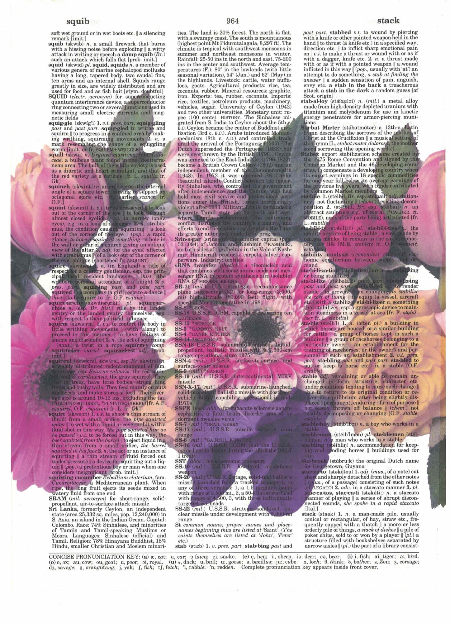 Flowers Bouquet 3 Piece Linked Dictionary Art