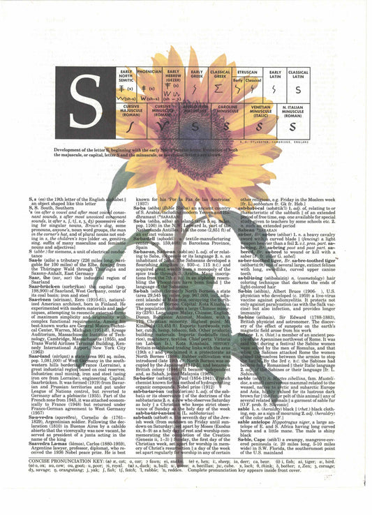 Sunflower Dictionary Art Print