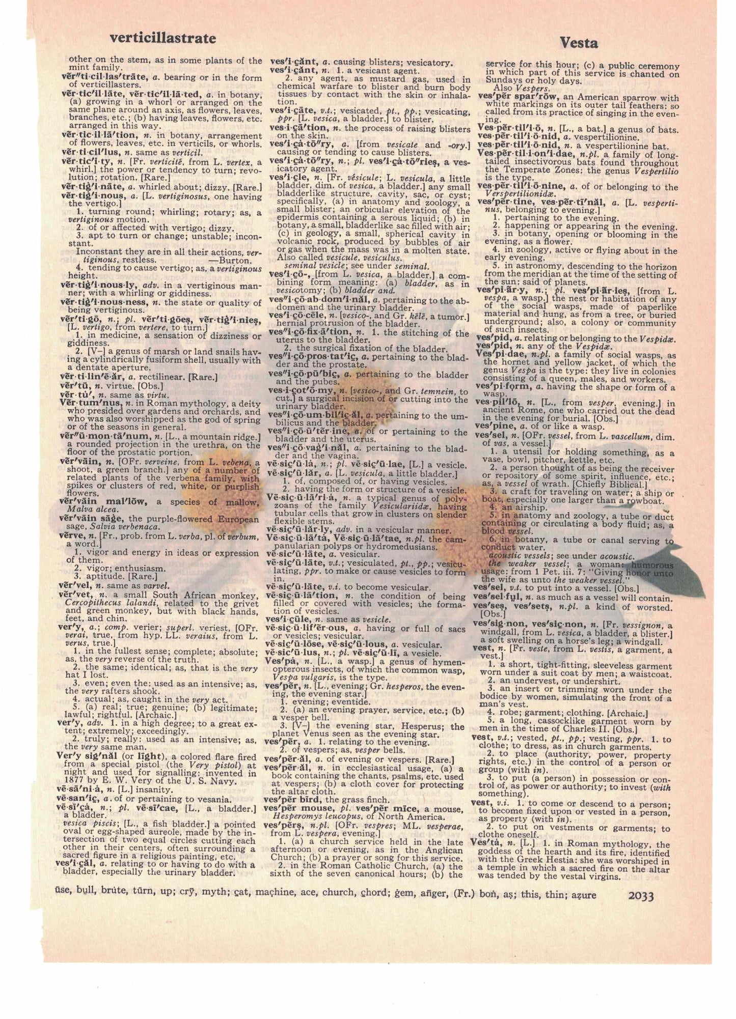 Daisy Flowers Dictionary Art Print