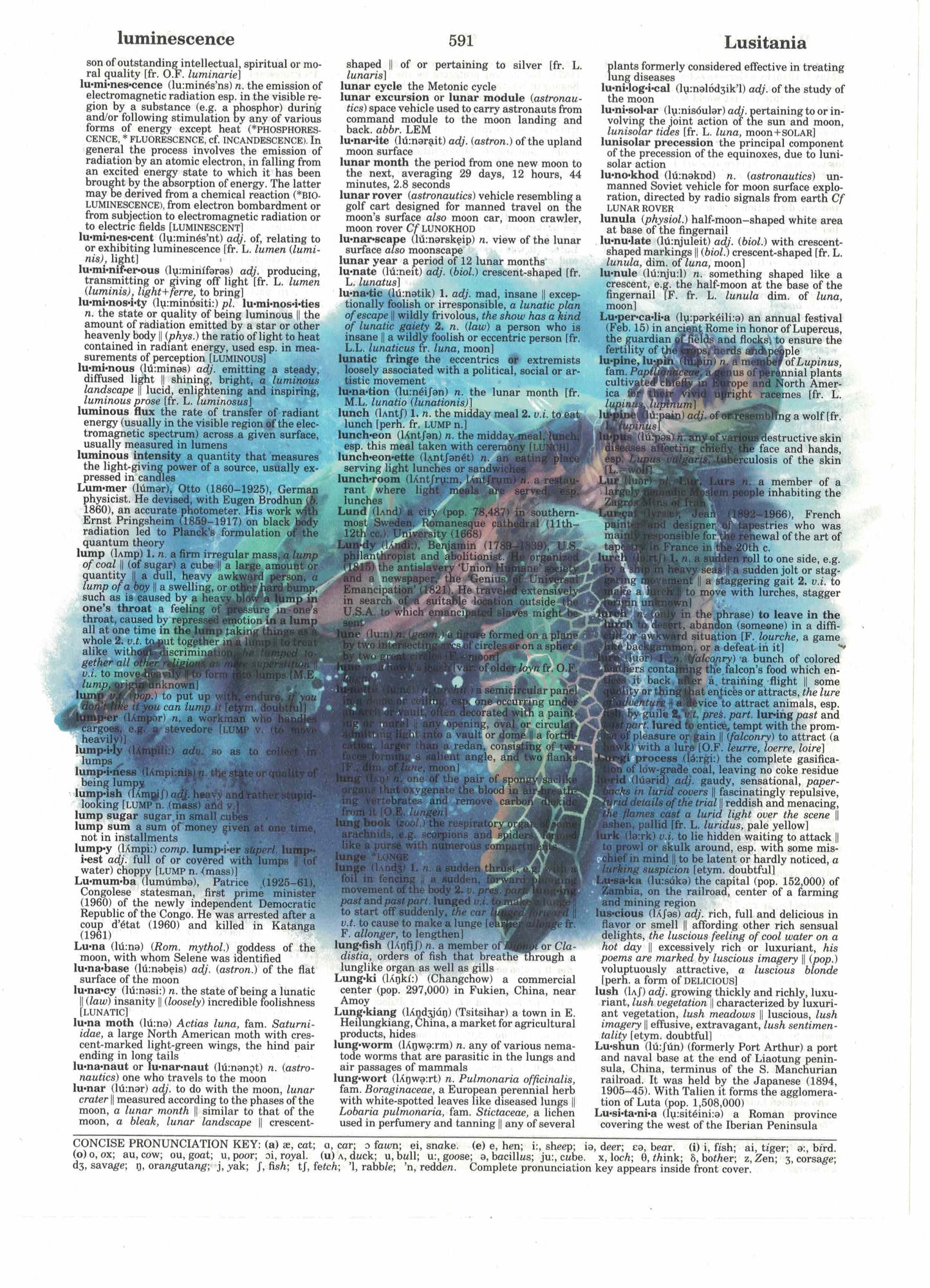 Sea Turtle Dictionary Art Print