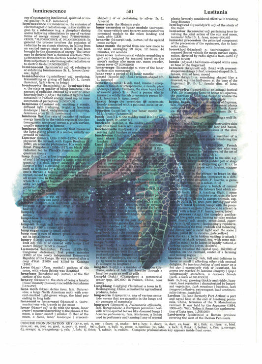 Sea Turtle Dictionary Art Print