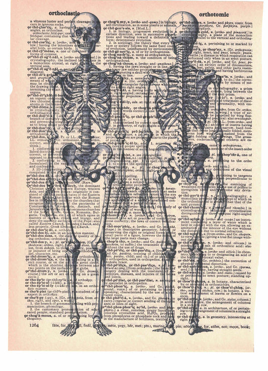 Skeleton Body Front & Back Dictionary Art Print
