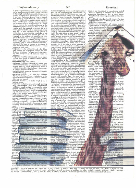 Giraffes with Books 3 Piece Linked Dictionary Art