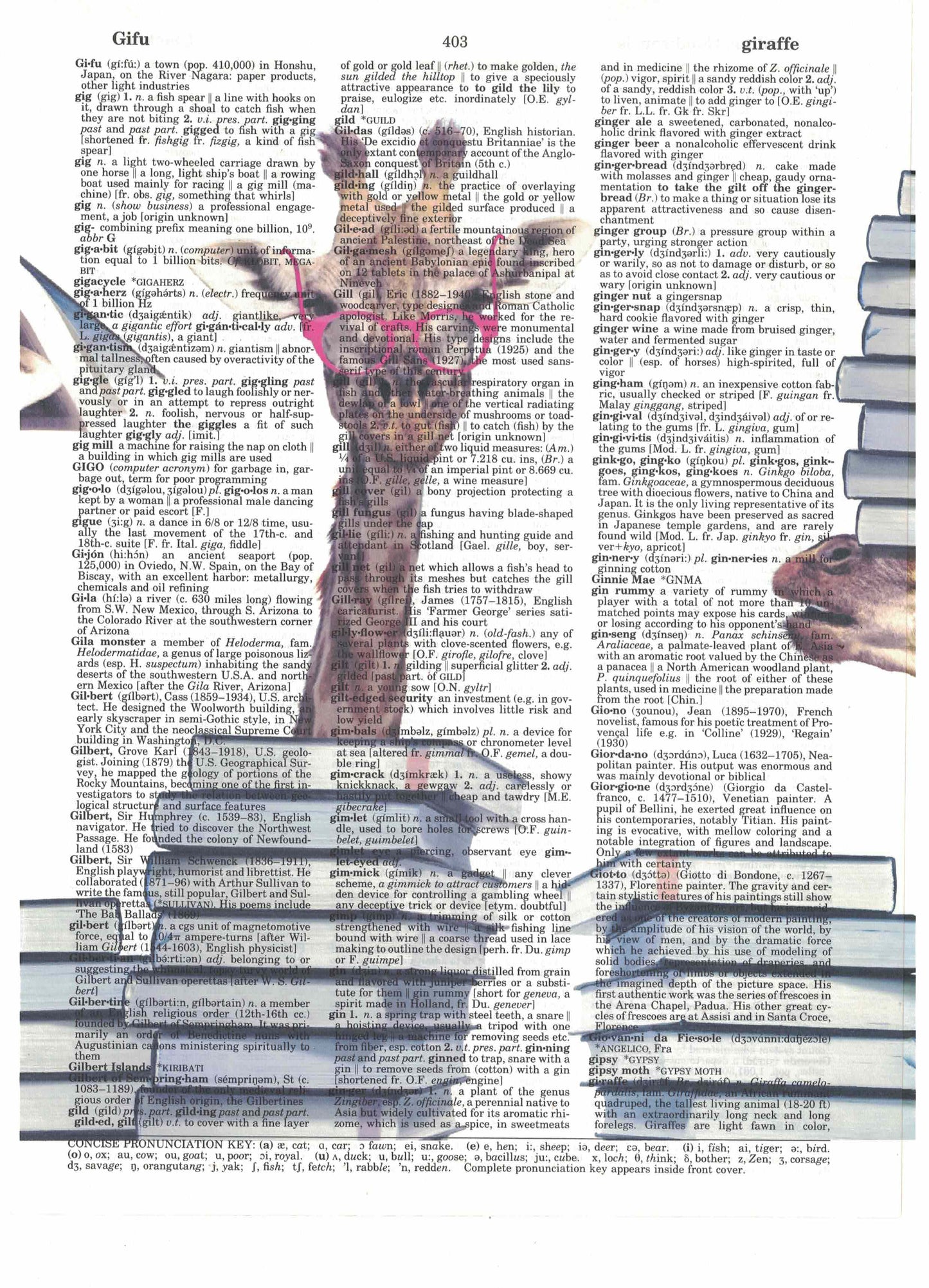 Giraffes with Books 3 Piece Linked Dictionary Art