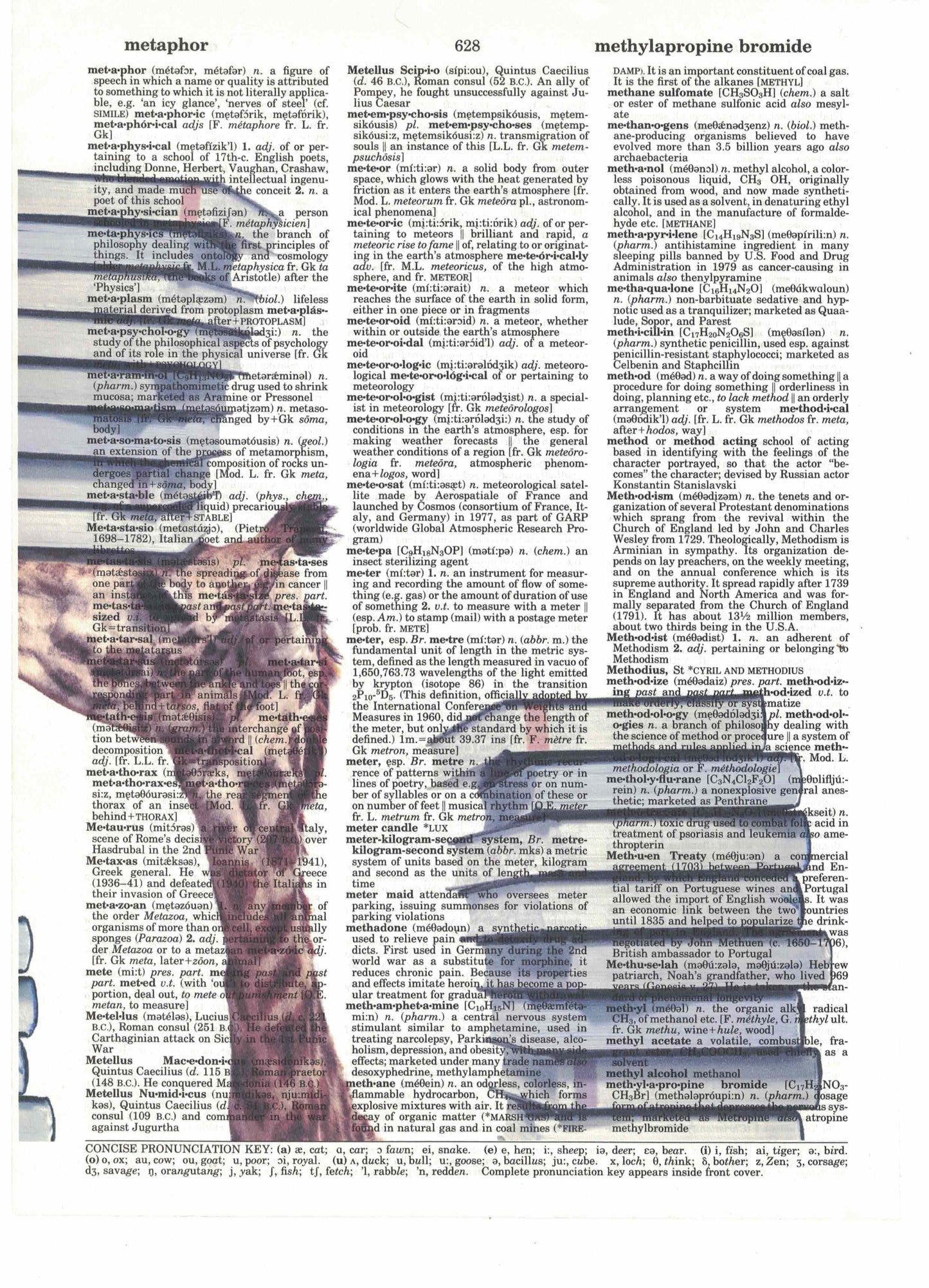Giraffes with Books 3 Piece Linked Dictionary Art