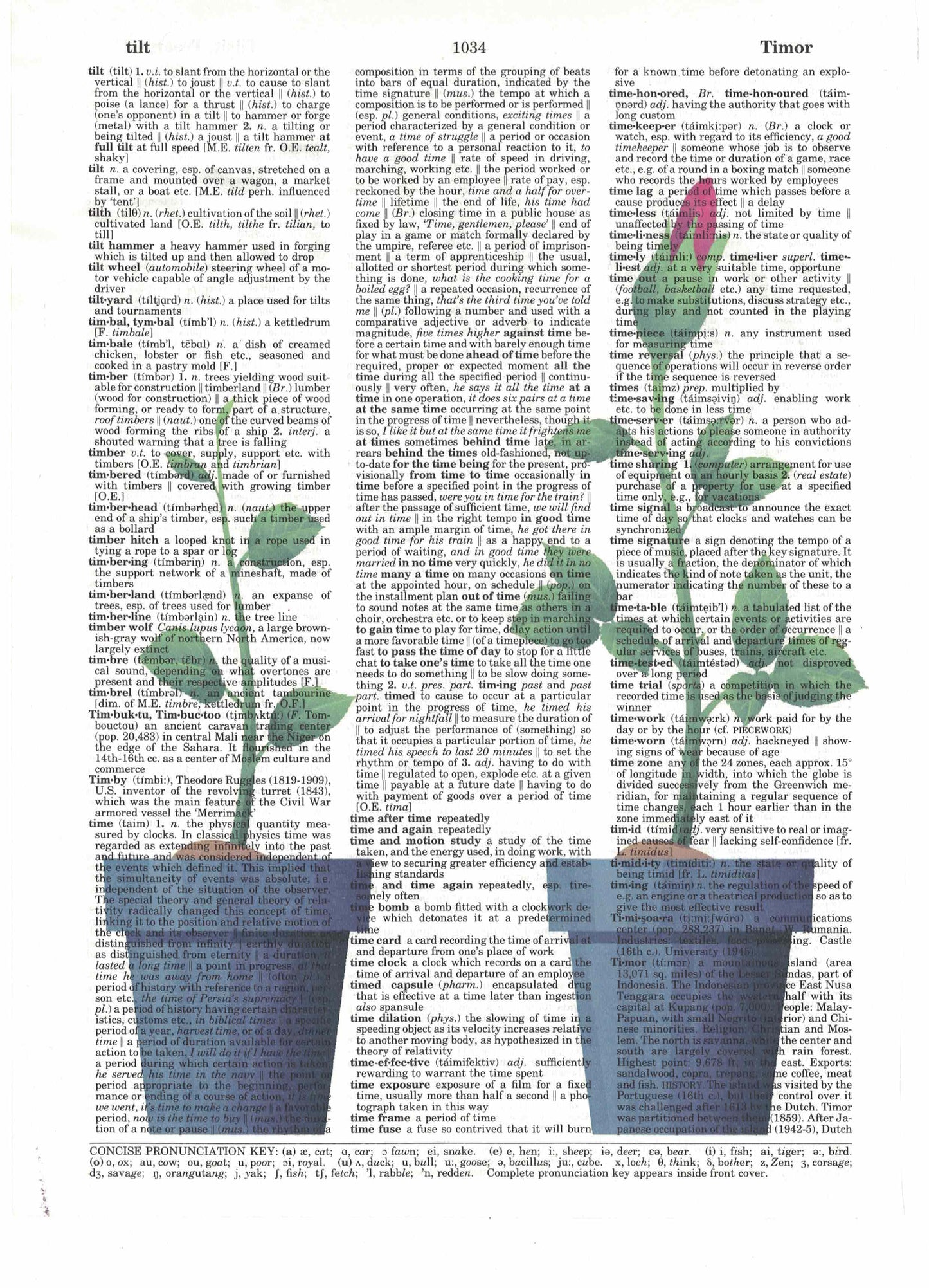 Growing Rose 3 Piece Linked Dictionary Art