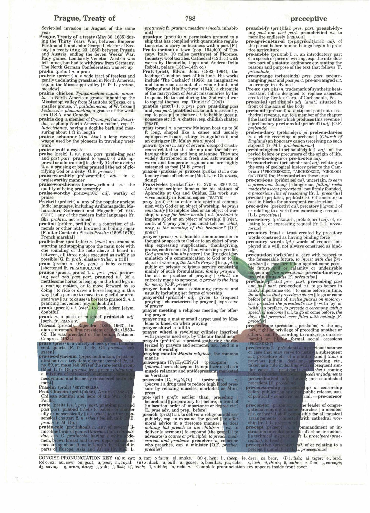 Growing Rose 3 Piece Linked Dictionary Art