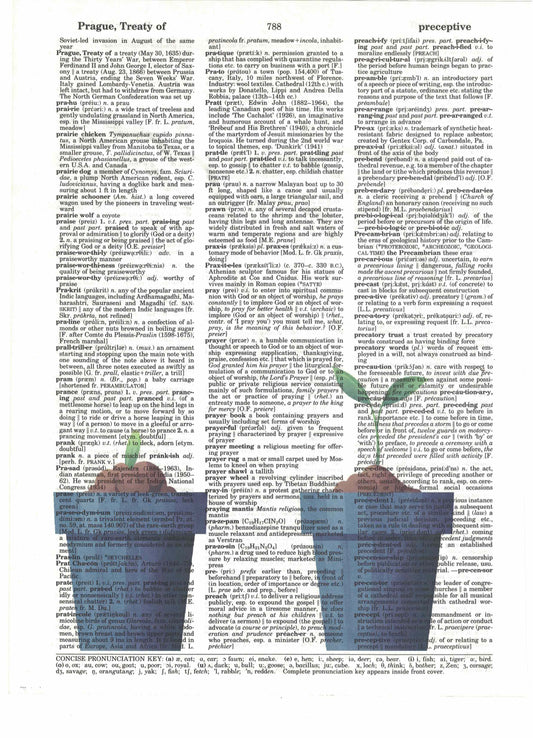 Growing Rose 3 Piece Linked Dictionary Art