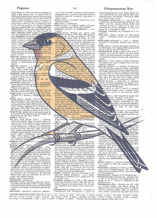 Yellow Finch Bird Dictionary Art Print