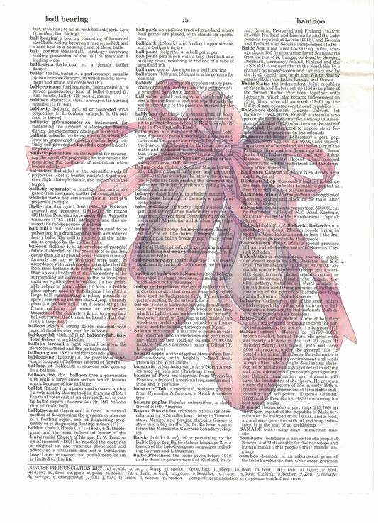 Ballet Shoes Art Print