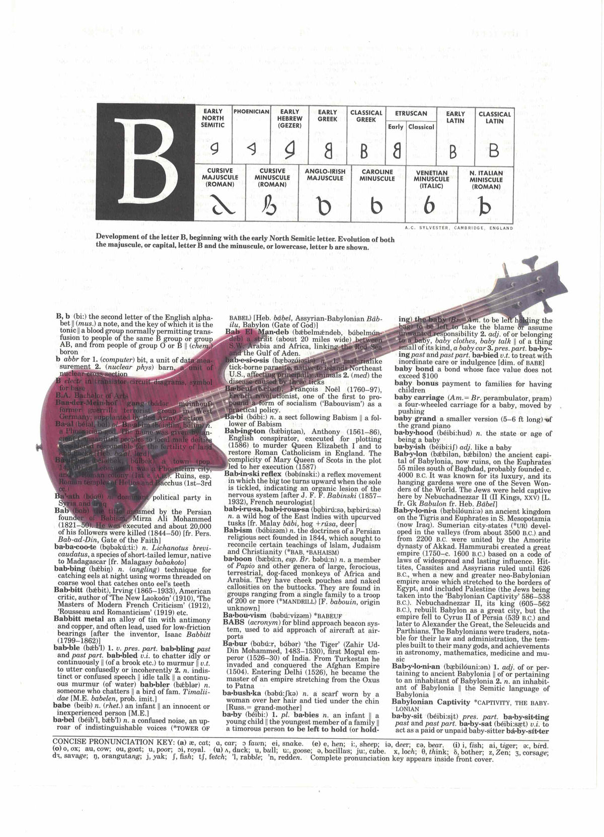 Bass Guitar Dictionary Art Print