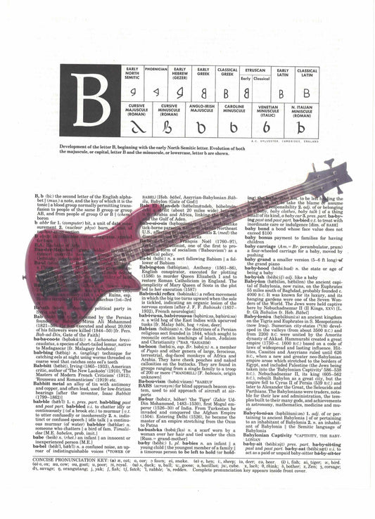 Bass Guitar Dictionary Art Print