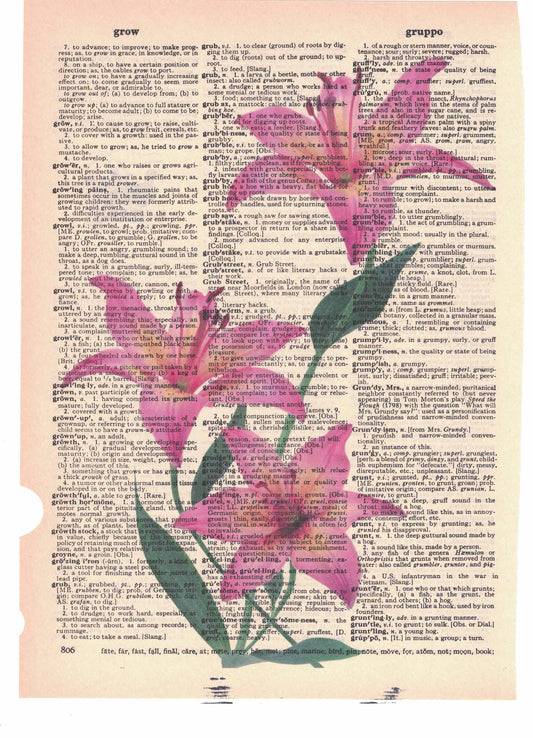 Lily Flower Dictionary Page Art
