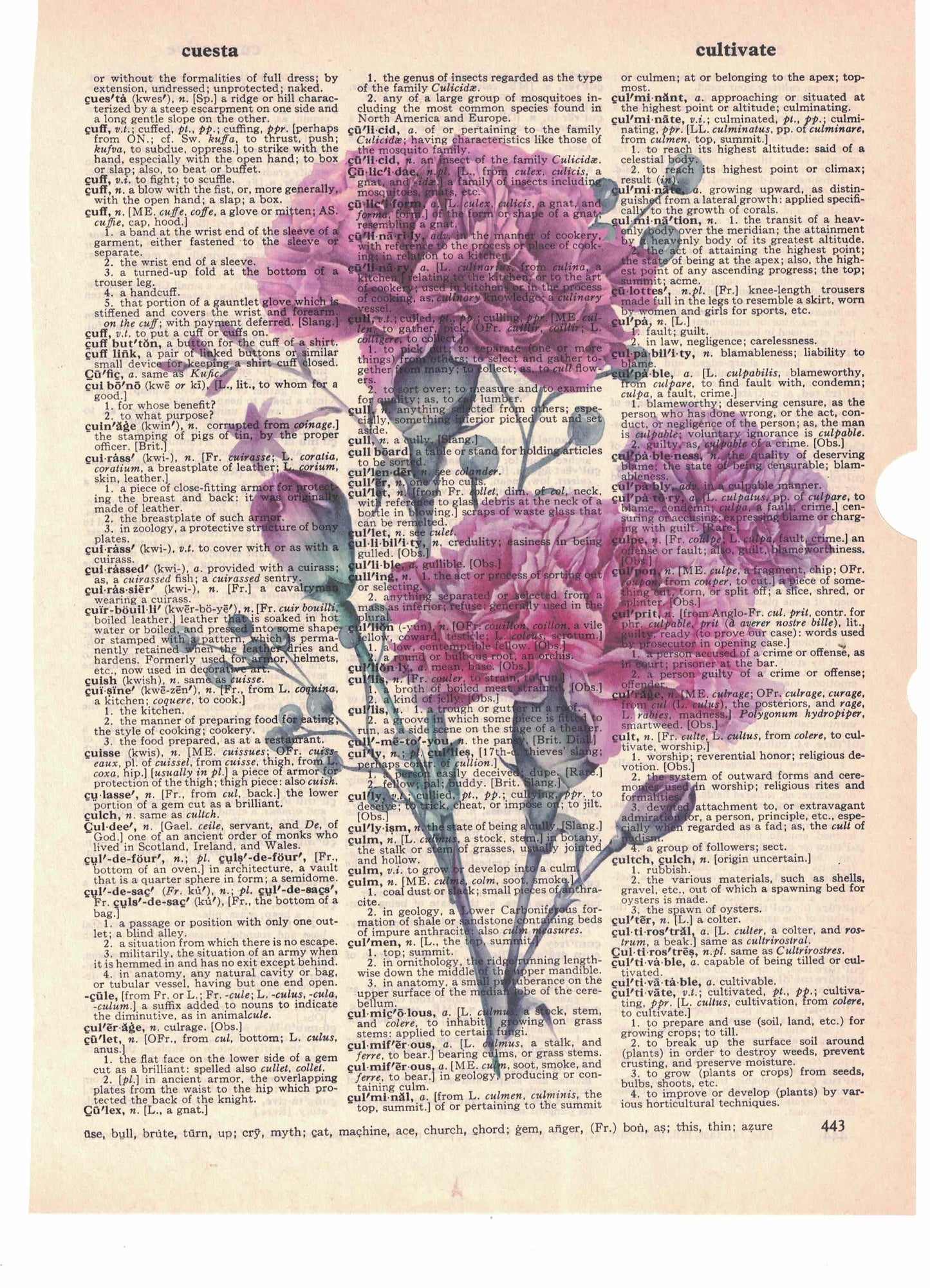 Carnations Dictionary Art Print