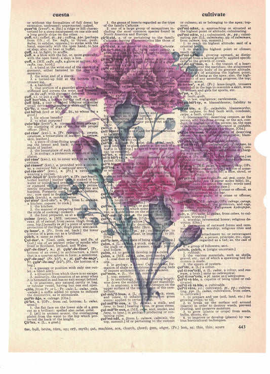 Carnations Dictionary Art Print