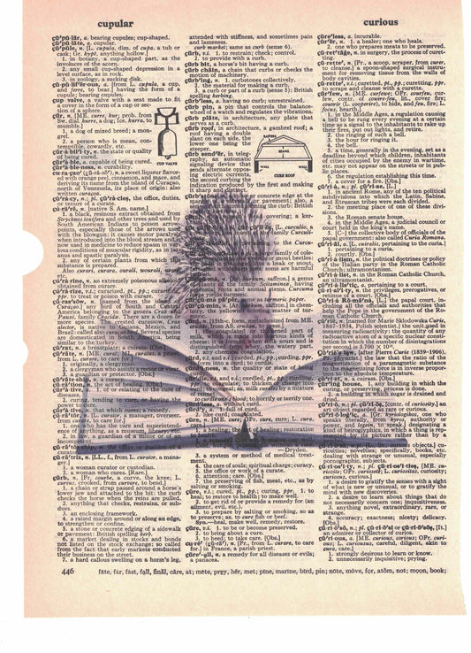Hedgehog Reading Book Dictionary Art Print