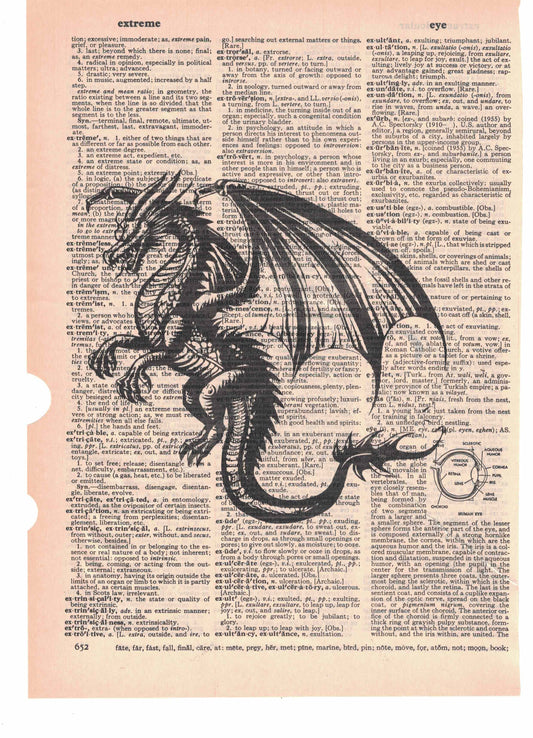 Western Dragon Dictionary Art Print