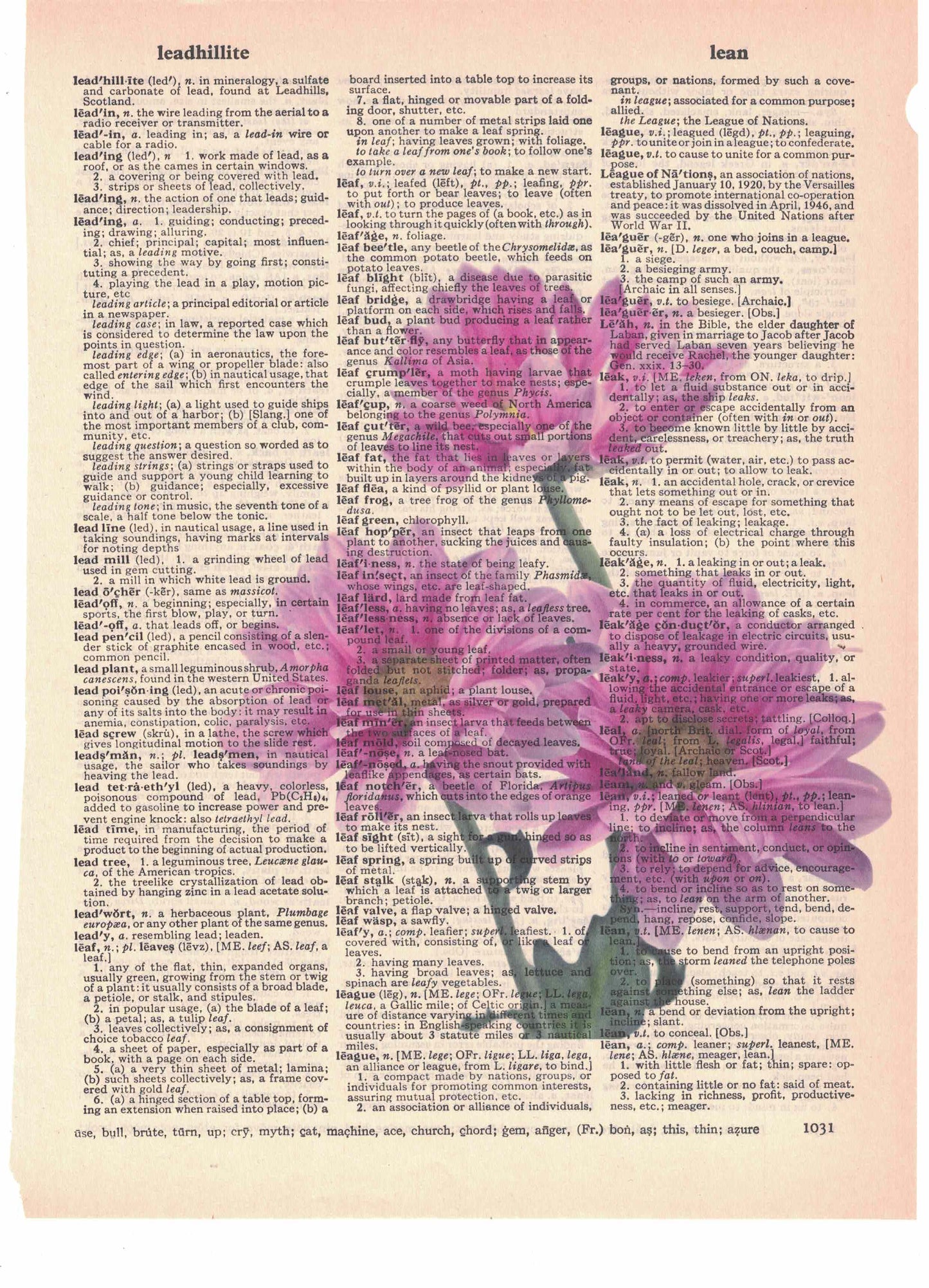 Pink Mums Flowers Dictionary Art Print