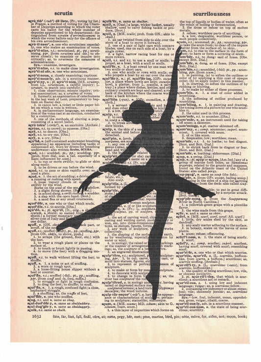 Ballet Dancer Reaching for the Sky Dictionary Art Print
