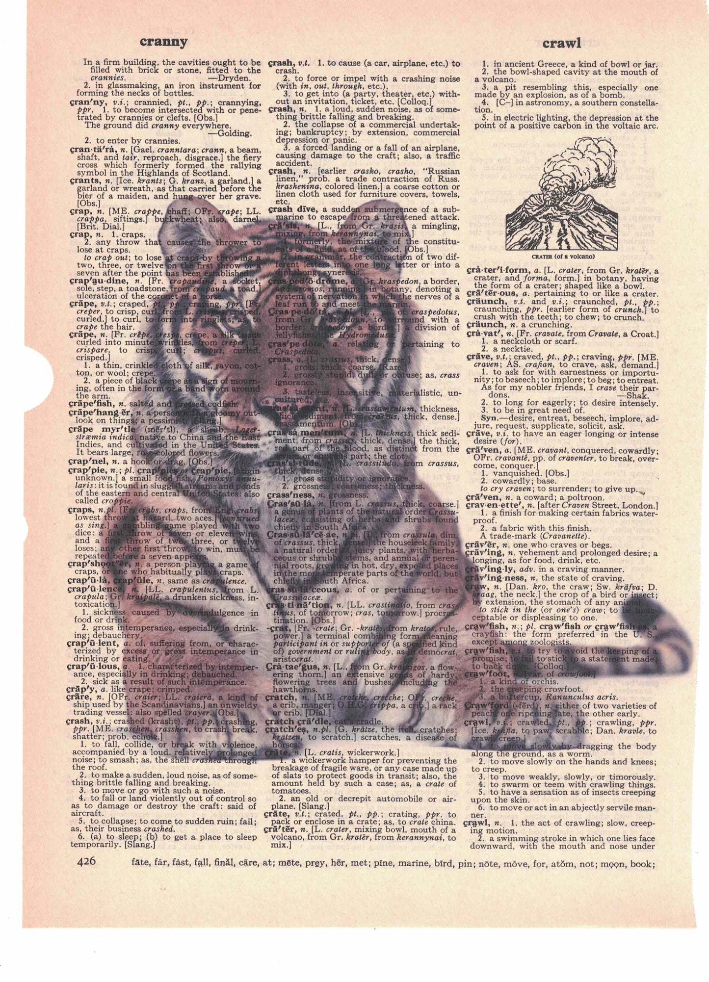 Tiger Dictionary Art Print